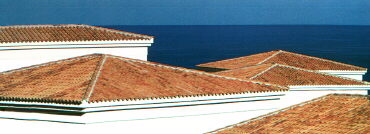Anassa